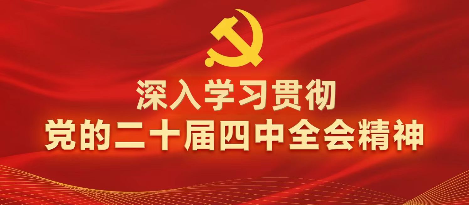 1762327049094023375.jpg 1762327049094023375.jpg