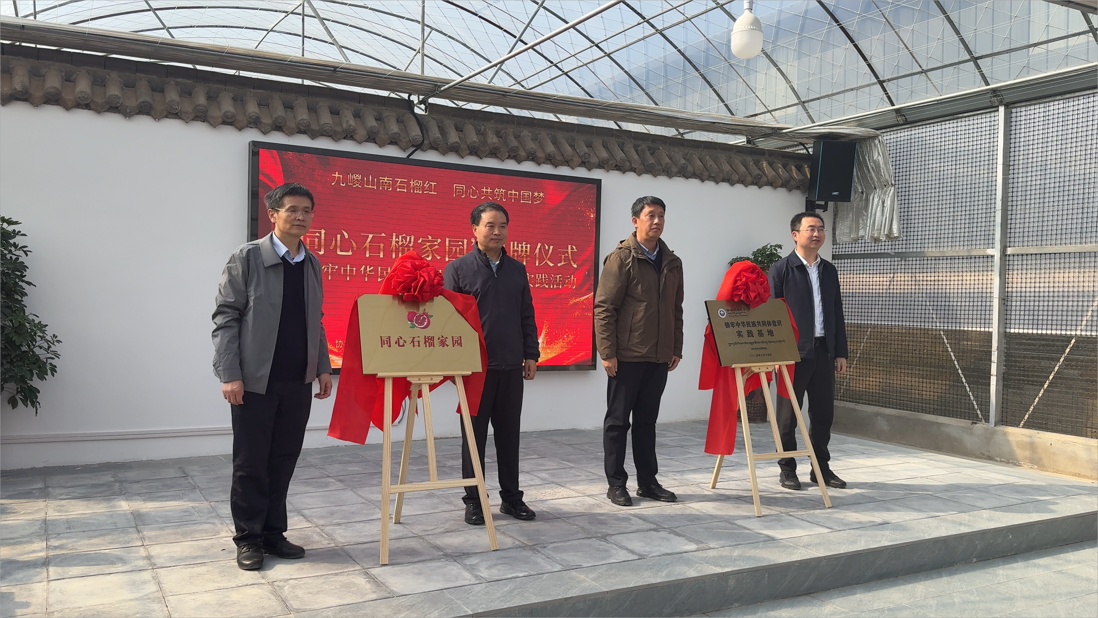 1763203312555064992.png 1763203312555064992.png