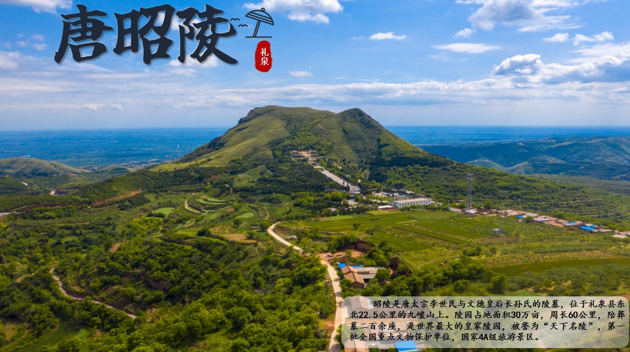 1753434946403069818.jpg 1753434946403069818.jpg