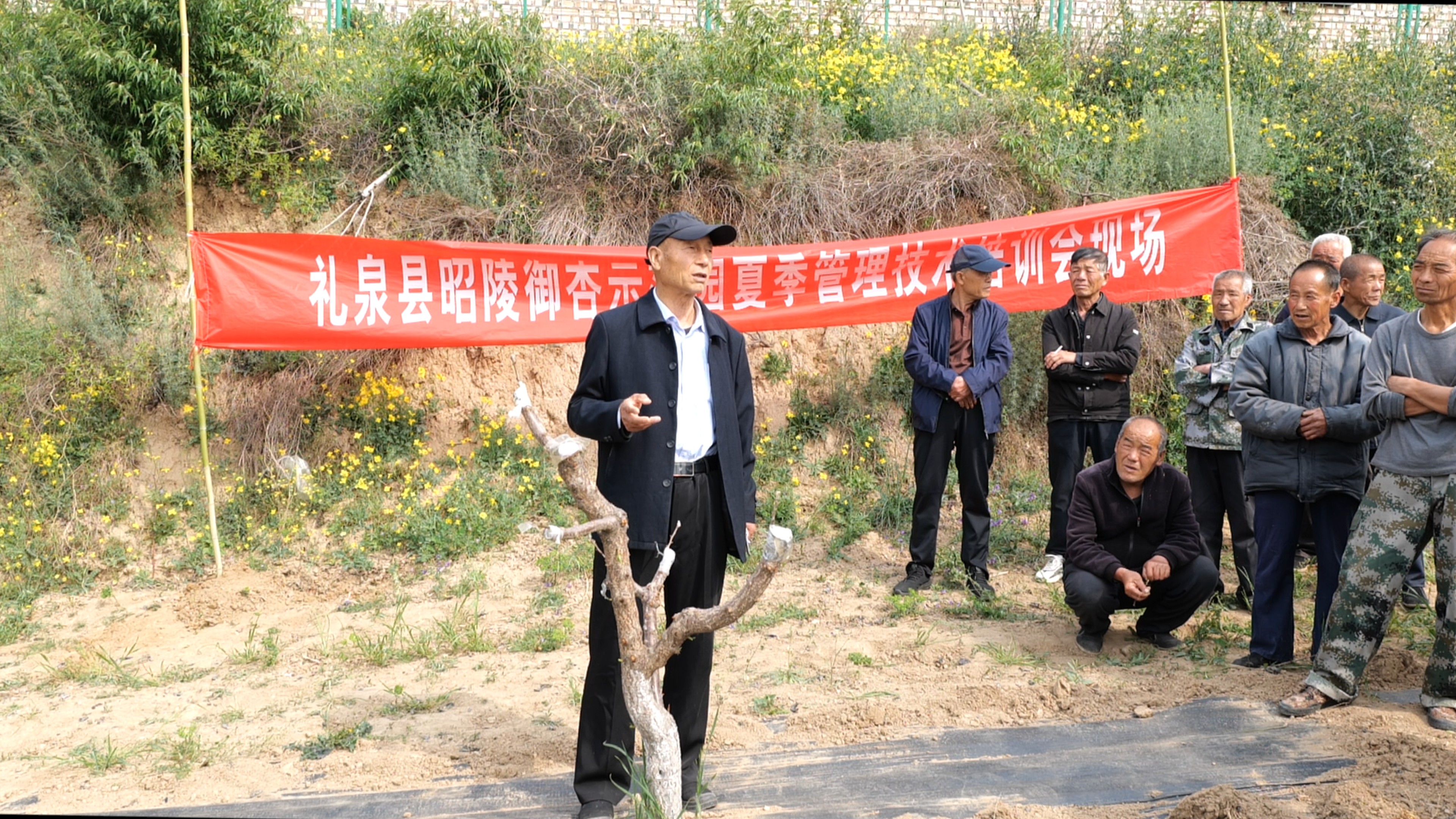 1776240652585025379.jpg 1776240652585025379.jpg